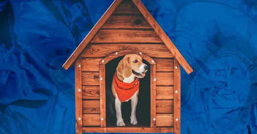 A beagle in a red bandana emerging from a brown wooden dog house.